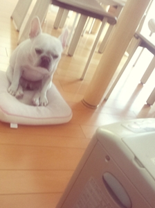 20131112_080510.jpg