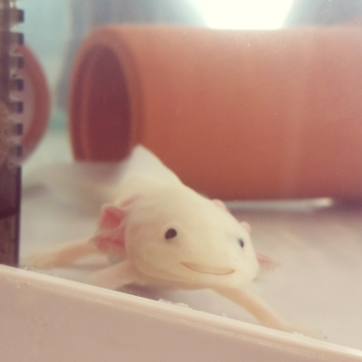 20131210_141005.jpg