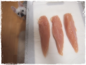 P1010018.jpg