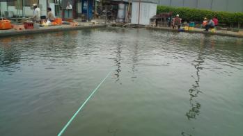20120520121155.jpg