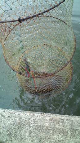 20120520131629.jpg