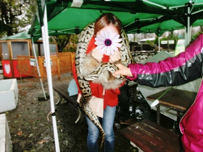 CIMG1599.jpg