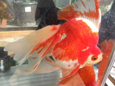 20140216_135231.jpg