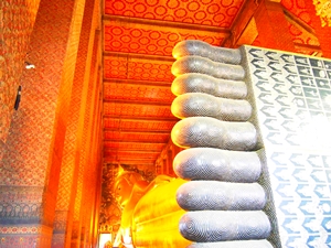 P1010690.jpg