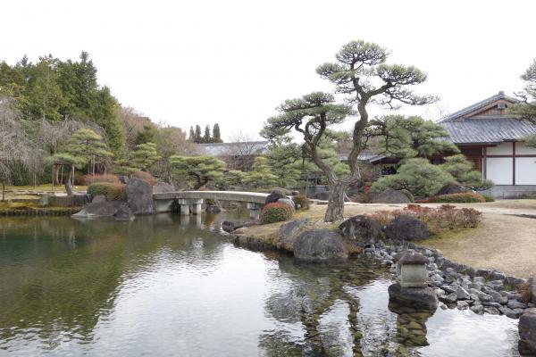 画像10